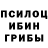 Галлюциногенные грибы Cubensis chalovek1 chalovek1