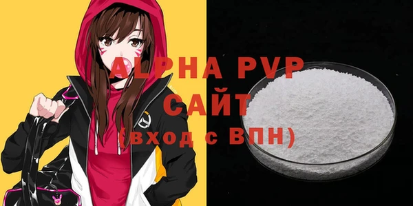 соль ск Новозыбков