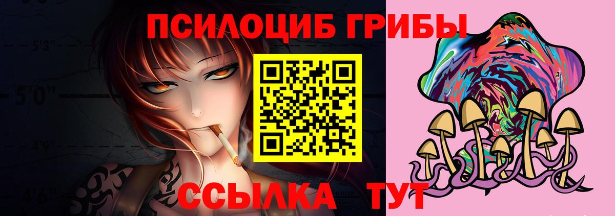 Псилоцибиновые грибы Psilocybe  Вход с VPN  Псилоцибиновые грибы ЛСД  Хабаровск 